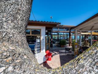 Outdoor bar with sea view, trees, and chairs.