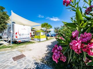 Campsite with RV, tent, and pink flowers under blue sky.