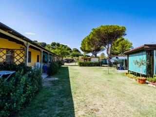 Colorful holiday homes with garden and trees, clear sky.