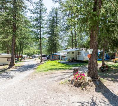 Campeggio tra gli alberi con roulotte e aree picnic.