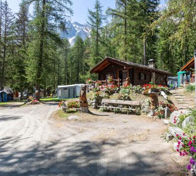 Chalet di montagna con fiori colorati e vista sulle Alpi.