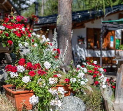 Giardino fiorito con persone sedute all'aperto vicino a una casa.