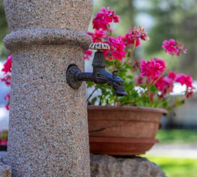 Fontana con rubinetto decorato e fiori rosa in vaso.