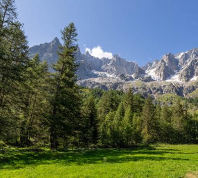 Montagne innevate con alberi verdi sotto un cielo azzurro.