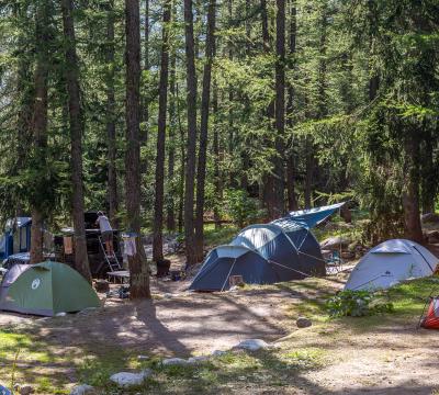 Campeggio nella foresta con tende sotto gli alberi.