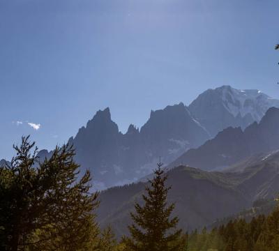 Montagne maestose con neve, alberi in primo piano.