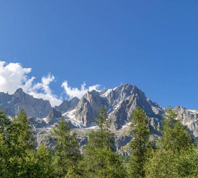 Campeggio tra le montagne con camper e natura rigogliosa.