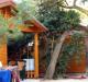 Camping Pineta
