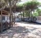 Pineta sul Mare Camping Village