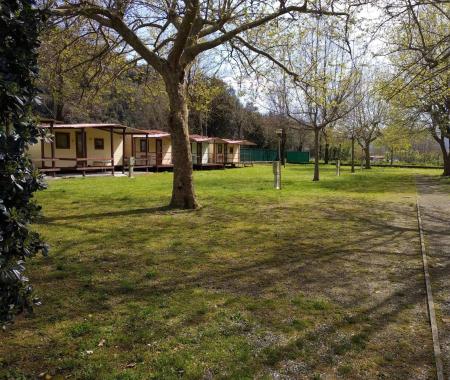 Mobile homes in a green campsite with trees and a pathway.