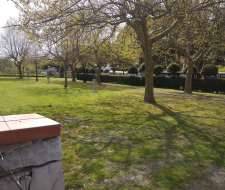 Grüner Park mit Bäumen, Schatten und einem Zaun im Vordergrund.