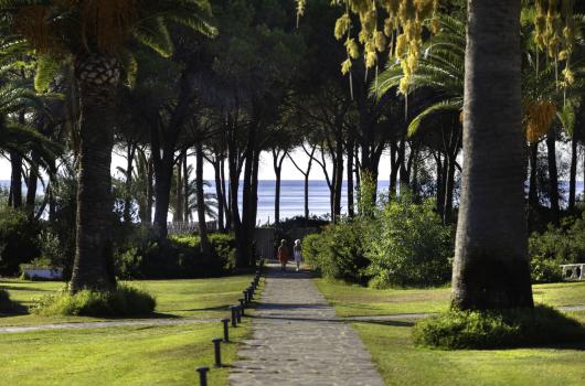 Sentiero tra palme verso il mare, due persone camminano.