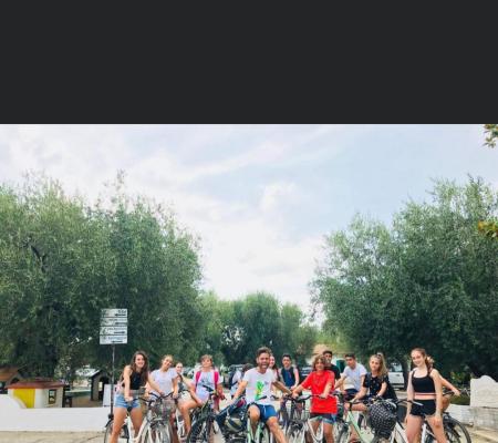 Gruppe von Freunden beim Radfahren an einem sonnigen Tag.