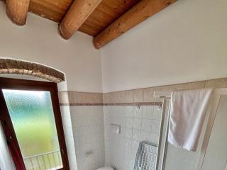 Bathroom with wooden ceiling, shower, and frosted glass window.