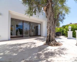 Terrazza moderna con albero e grandi vetrate, ambiente luminoso.