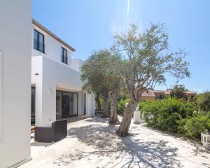 Villa moderna con terrazza, ulivi e vista panoramica.