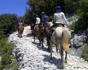 Persone a cavallo su un sentiero roccioso in montagna.