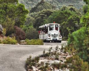 Un trenino turistico attraversa un paesaggio verde e collinare.