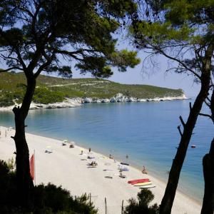 Camping Baia e Cala Campi