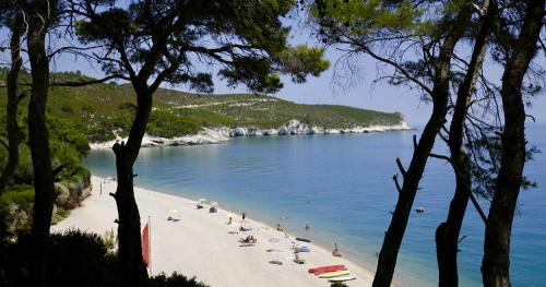 Camping Baia e Cala Campi