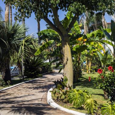 Giardino tropicale con fiori colorati e palme vicino a una villa bianca.