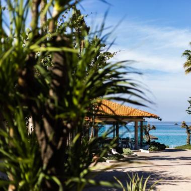 Vista sul mare con palme e tetto arancione.