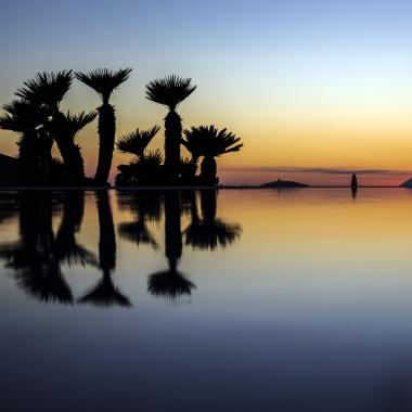 Tramonto tropicale con palme riflettenti sull'acqua calma.