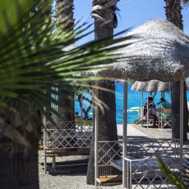 Spiaggia con palme, ombrelloni e mare azzurro.