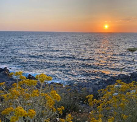 Ischia e Dintorni- Punta Caruso