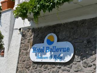 Insegna di un hotel su muro di pietra, circondata da foglie verdi.