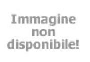 Hotel Ribot