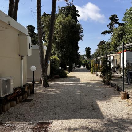 Stradina tranquilla tra bungalow immersi nel verde, atmosfera di pace e relax.