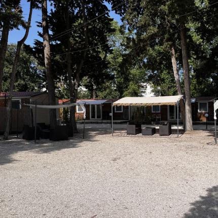 Giardino tranquillo con sedie sotto tettoie, immerso tra alti alberi.
