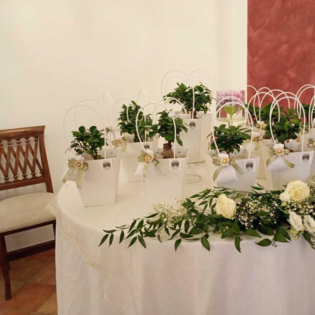 Tavola elegante con piantine e fiori, atmosfera di festa e raffinatezza.