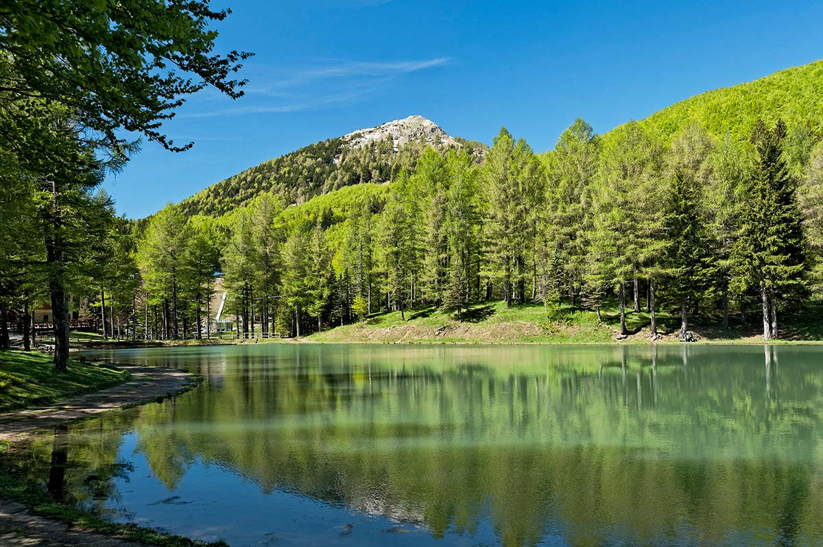 Campeggio Villaggio Parco Dei Castagni