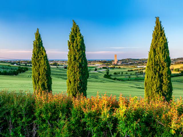 Vista