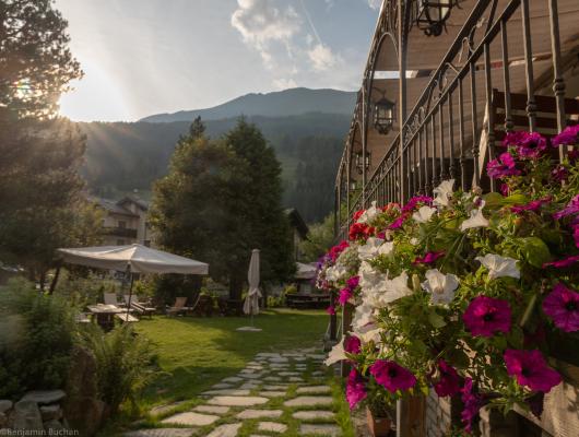 Giardino fiorito con vista montagna al tramonto.