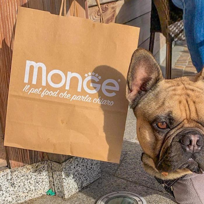 Curious French bulldog next to a Monge pet food bag.