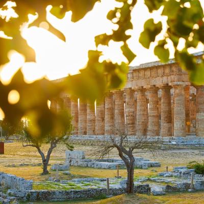 Tempio antico tra foglie e luce al tramonto.