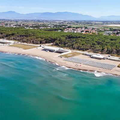 Spiaggia con ombrelloni, mare turchese e pineta sullo sfondo.