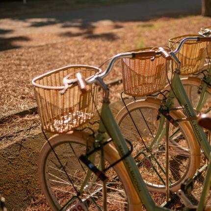 Biciclette verdi con cesti di vimini, allineate al sole.