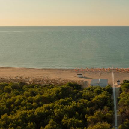 Spiaggia tranquilla con ombrelloni arancioni e mare calmo.