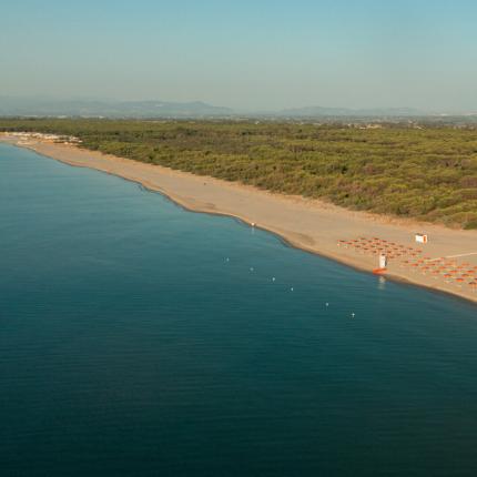 Spiaggia con ombrelloni arancioni e mare calmo, circondata da una pineta.