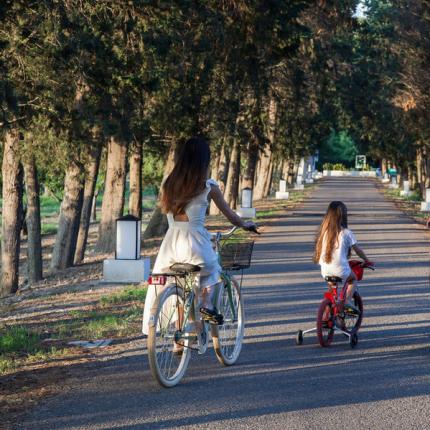 Famiglia in bicicletta su un viale alberato al tramonto.