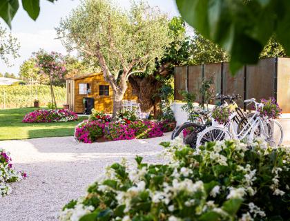 Giardino fiorito con biciclette e casetta di legno.