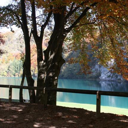 Alberi autunnali si riflettono in un lago turchese.