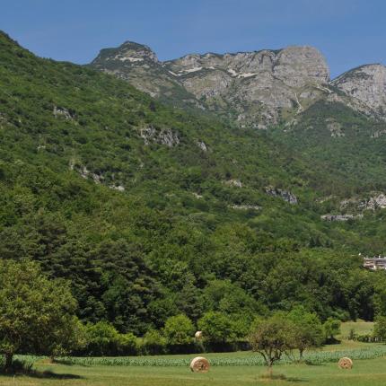 Paesaggio montano verdeggiante con balle di fieno e cielo sereno.