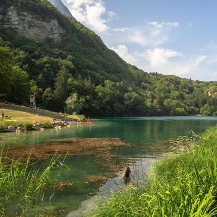 Lago circondato da vegetazione lussureggiante e sentiero naturale.