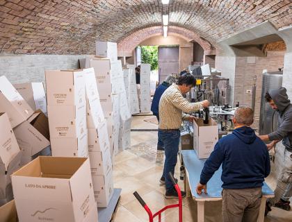 Cantina animata, uomini confezionano bottiglie di vino tra scatole e archi di mattoni.