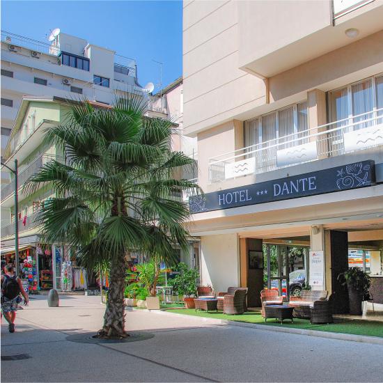 Hotel Dante con area esterna e palme, in una strada commerciale.